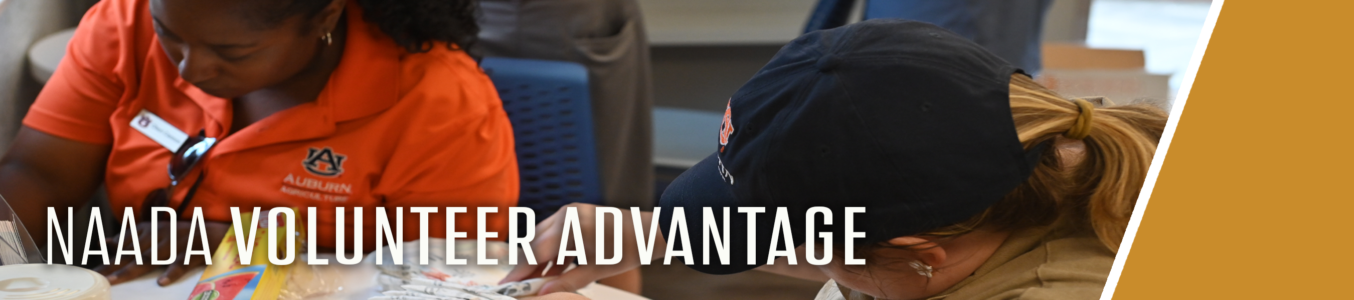 Volunteer Advantage