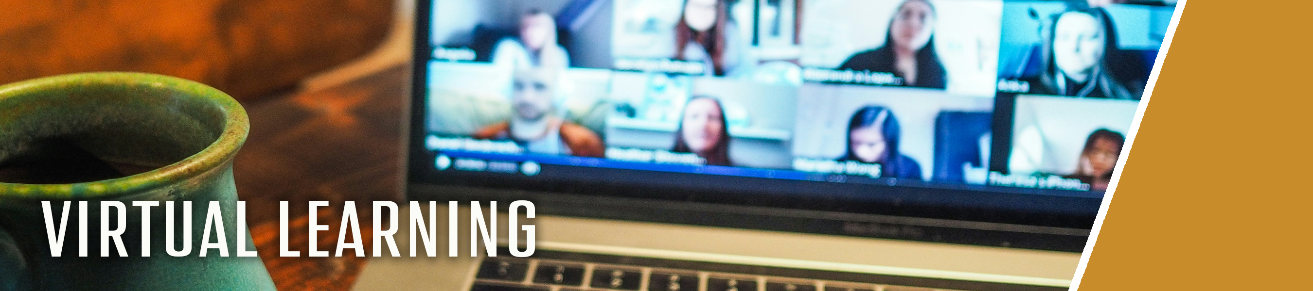 Virtual Learning