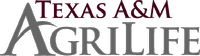 Texas A and M