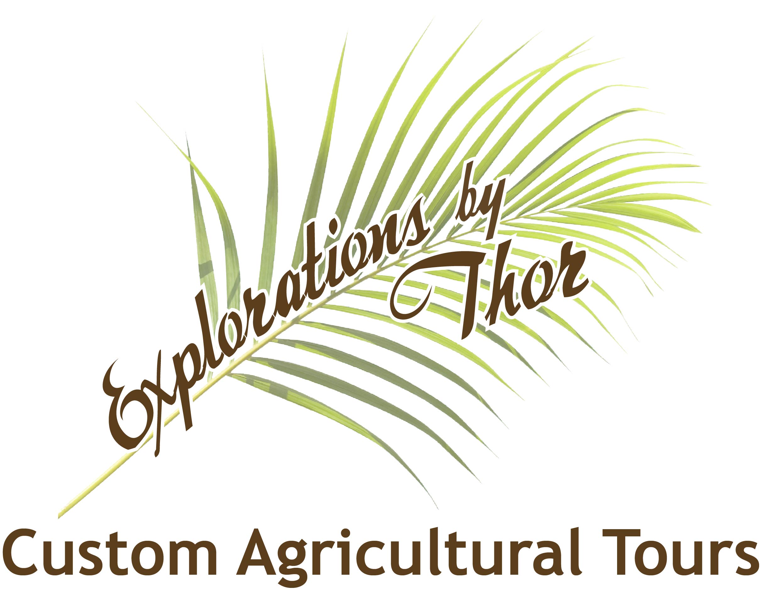 Explorations by Thor