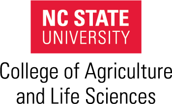 NC State
