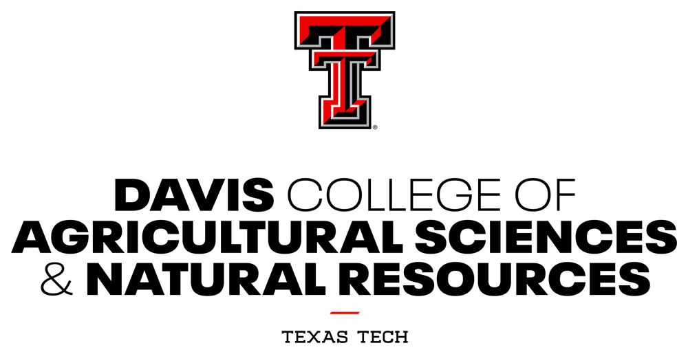 Texas Tech