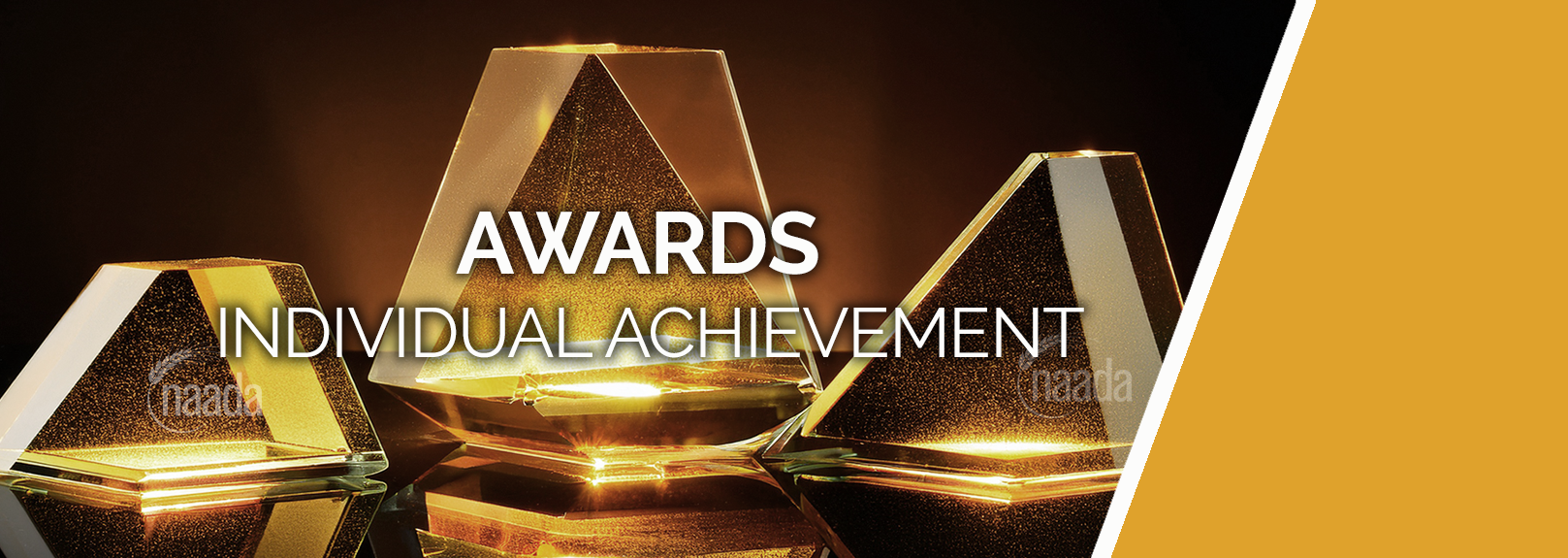 Individual Awards