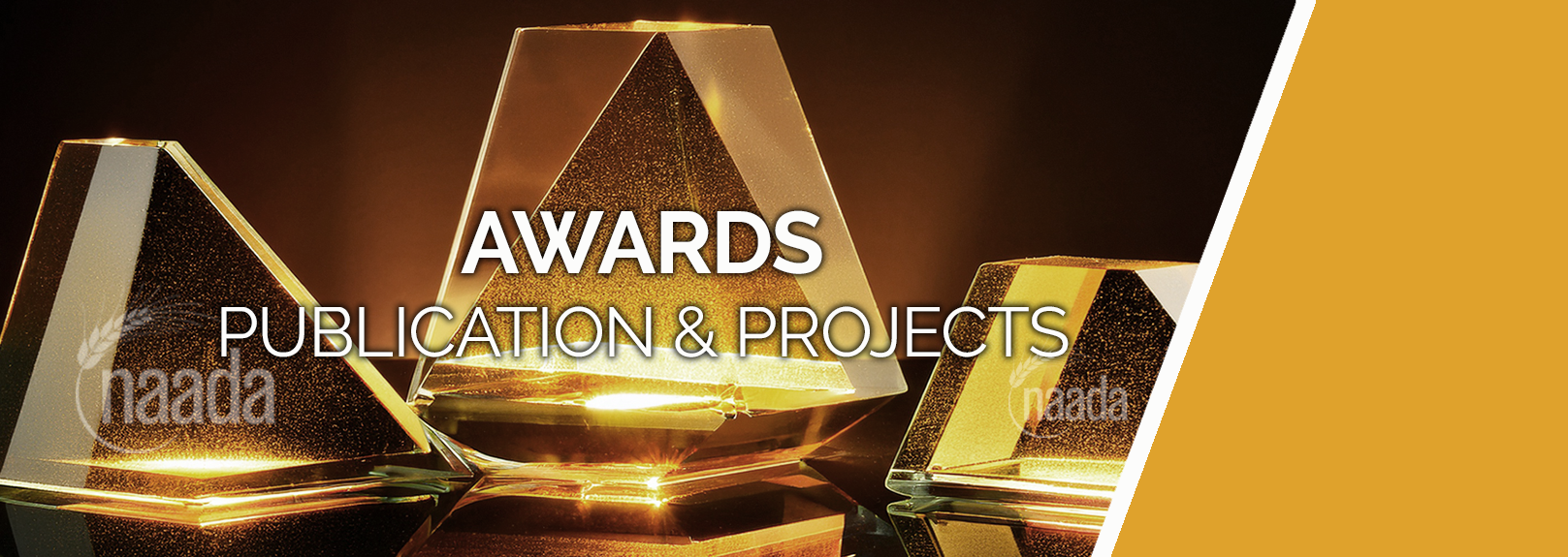 Publication and Project Awards